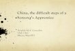 China Sorcerer Apprentice