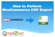 How to Perform WooCommerce CSV Export