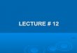 ISL201 - Islamic Studies- Lecture 12