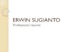 Erwin Sugianto - Professional Resume
