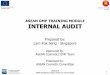 Interna  audit module