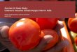 Sunrise 2.0 Case Study: Unilever’s Inclusive Tomato Supply Chain in India