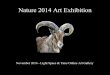 Nature 2014 Online Art Exhibition - Event Catalogue