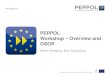 PEPPOL Online Workshop 1 Overview