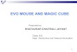 Evo mouse and magic cibe