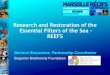 Recent Black Sea REEFS presented in Marseilles
