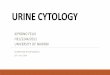 Urine Cytology
