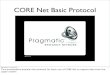 Prn core net basic_protocol_2.2.2011