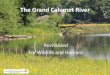 Grand Calumet River revitalized
