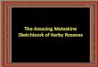 The amazing moleskine sketchbook of kerby rosanes