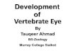 Development Of Eye by Tauqeer Ahmad