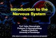 Y2 s1 introduction to the nervous system 2015