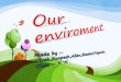 Our enviroment