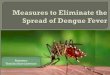 Measures to eliminate the spread of dengue fever