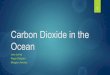 Carbon Dioxide in the Oceans