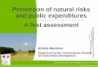 Prevention of natural risks and public expenditures by Amélie Mauroux