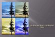 Alaskan photography slide show