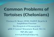 Common Problems of Tortoises SDT&TS