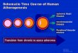 Schematic Time Course of Human Schematic Time Course of Human 
