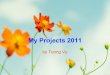 My projects 2011