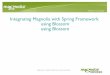 Integrating Magnolia with Spring Framework using Blossom