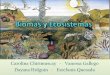 Biomas terrestres y ecosistemas marinos