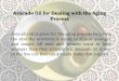 Avocado Oil for Dealing with the Aging Process