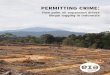 Permitting Crime :How palm oil expansion drives illegal logging in Indonesia