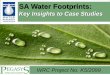 Lessons from Case Studies in Water Footprint for South African Companies