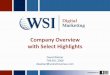 WSI Net Revenue Overview   Abridged
