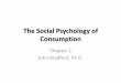 1 29-13 social psychology of consumption