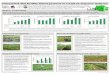 Poster2: Integrated soil fertility management in cassava-legume systems