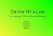 Cinder Hills Lab