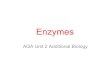 B2.5 proteins enzymes