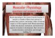 Muscular physiology
