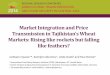Market Integration and Price Transmission in Tajikistan’s Wheat Markets: Rising like rockets but falling like feathers?