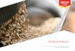 Supreme Flour World Wheat Presentation (March 2014)