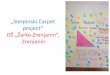 Sierpinski carpet project Zrenjanin