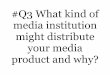 Q3 what kind of media institution might