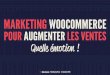 WordCamp Paris 2015 - Marketing WooCommerce pour augmenter les ventes - Rémi Corson