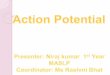 Action potential (niraj)