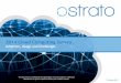 Ostrato 2014 Cloud Computing Adoption Survey