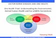 One health Perspective and Vector Borne Diseases