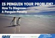 How To Diagnose a Penguin Google Algorithm Link Penalty