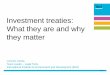 Investment treaties: What they are and why they matter