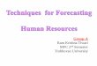 Techniques  for Forecasting   Human Resources