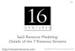 SaaS Revenue Streams