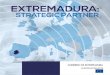 Extremadura Strategic Partner- European Projects