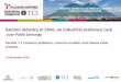 TCI 2014 Salmon industry in Chile: an industrial resilience case