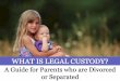 What is Legal Custody in Arizona: A Guide for Parents Who Are Divorced or Separated
